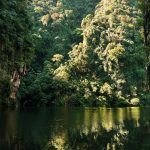 Gunung Rapat