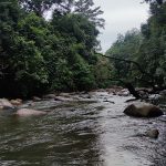 Hutan Lipur Ulu Kinta